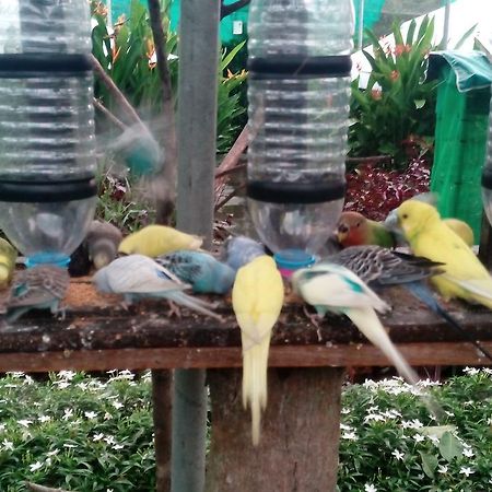 T Garden Villa Pantai Cenang  Esterno foto