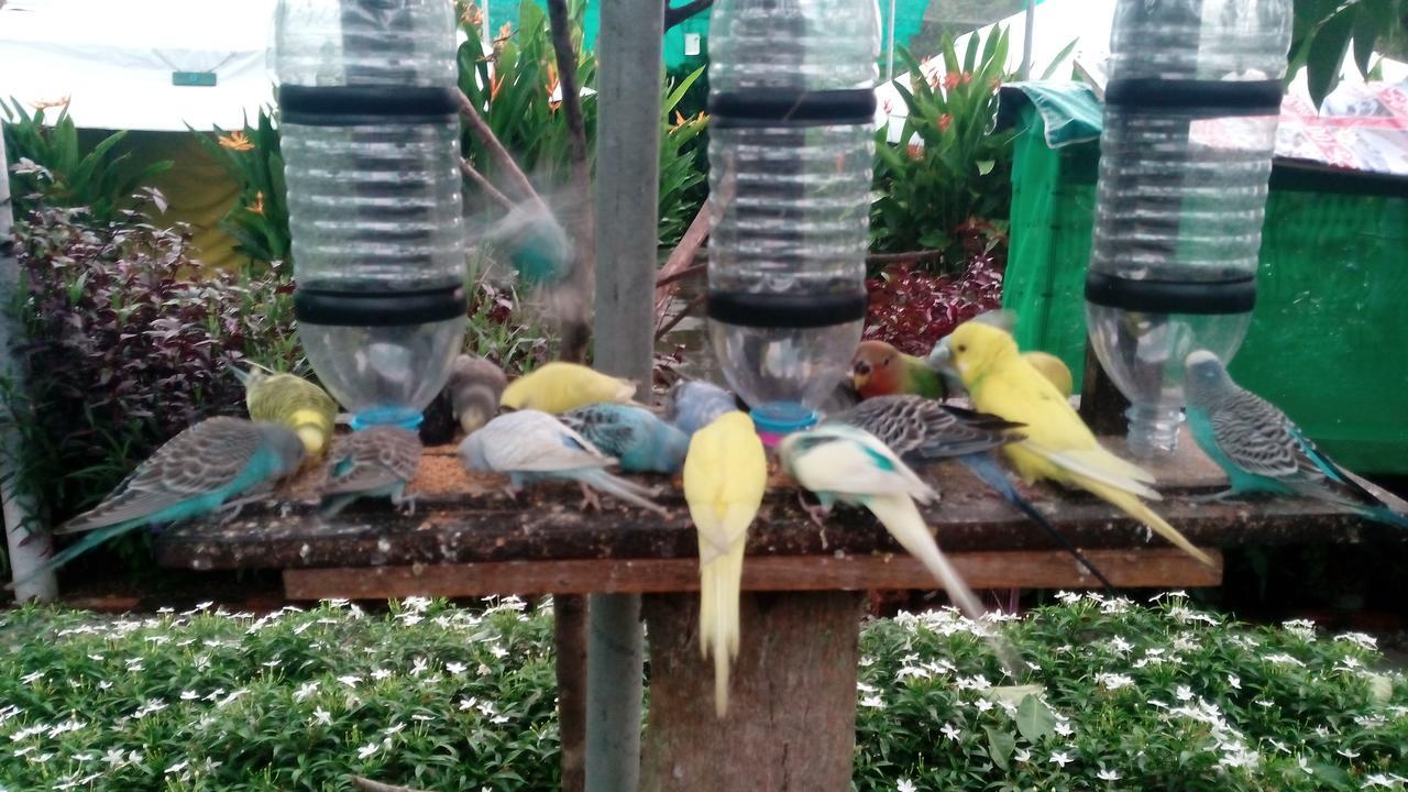 T Garden Villa Pantai Cenang  Esterno foto