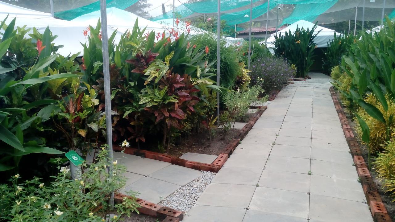 T Garden Villa Pantai Cenang  Esterno foto
