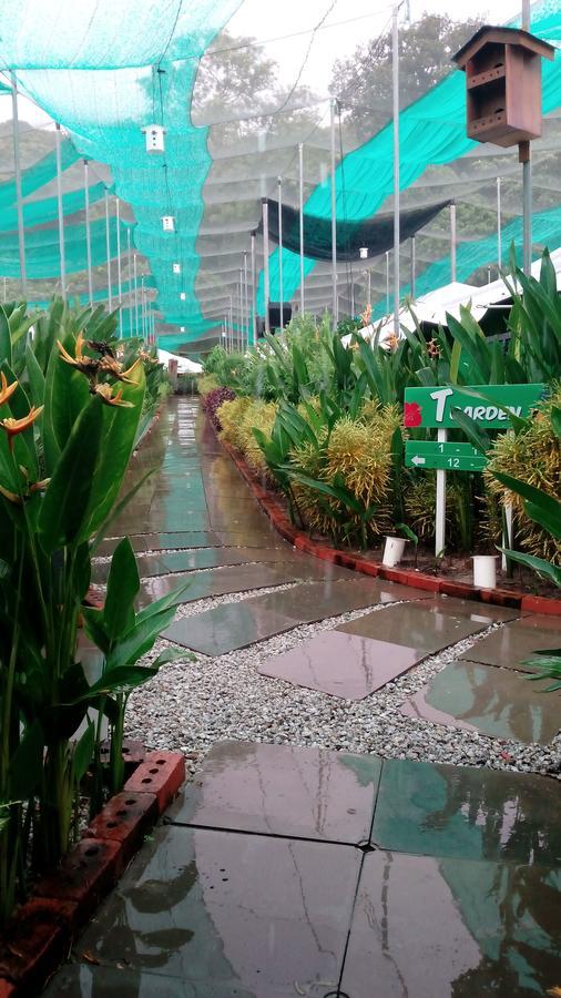 T Garden Villa Pantai Cenang  Esterno foto