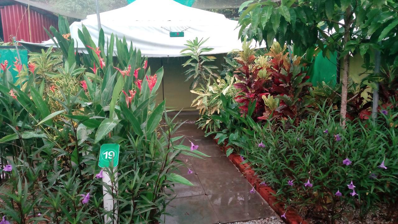 T Garden Villa Pantai Cenang  Esterno foto