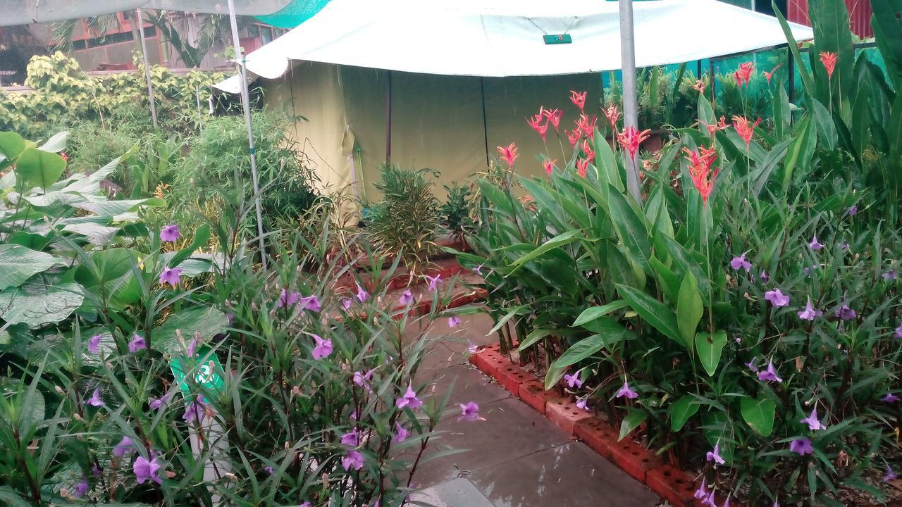 T Garden Villa Pantai Cenang  Esterno foto