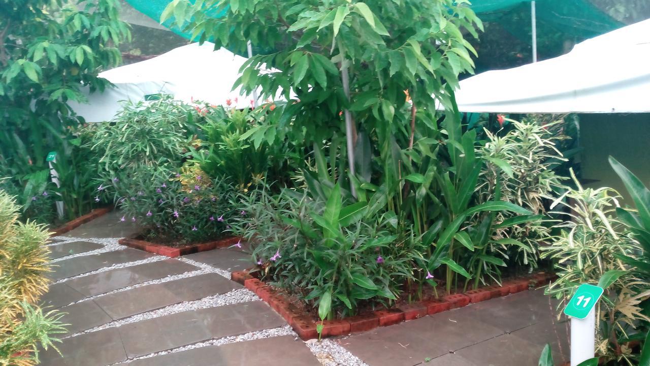 T Garden Villa Pantai Cenang  Esterno foto