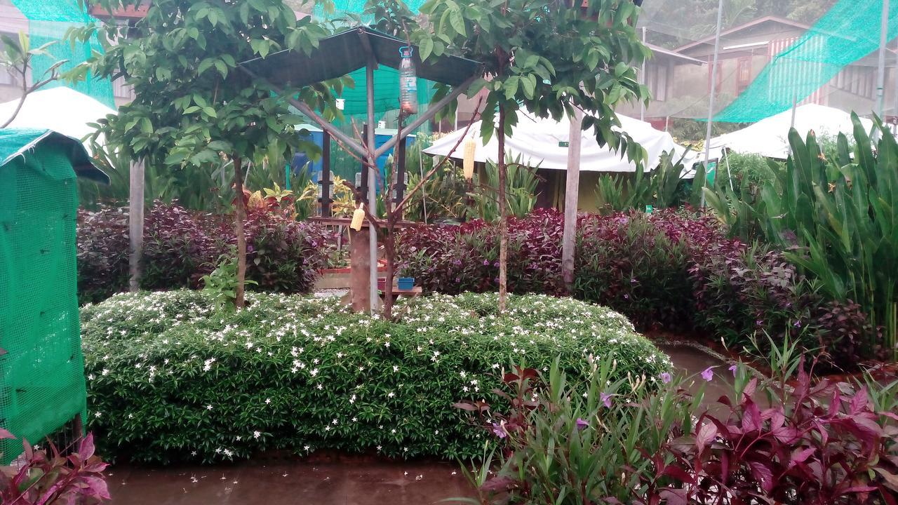 T Garden Villa Pantai Cenang  Esterno foto